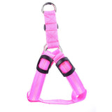 Nylon Strap Pet Safety LED Harness