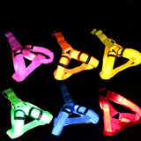 Nylon Strap Pet Safety LED Harness