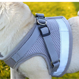 Reflective Safety Dog And Cat Harness With Leash
