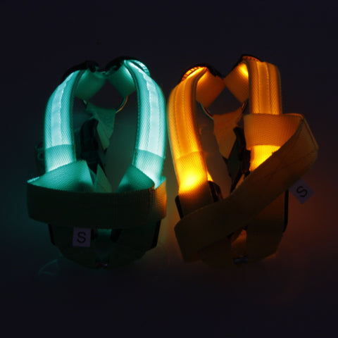Nylon Strap Pet Safety LED Harness