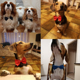 Adjustable Pet Bow Tie Necklace For Dogs And Cats