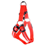 Nylon Strap Pet Safety LED Harness