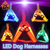 Nylon Strap Pet Safety LED Harness