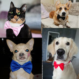 Adjustable Pet Bow Tie Necklace For Dogs And Cats